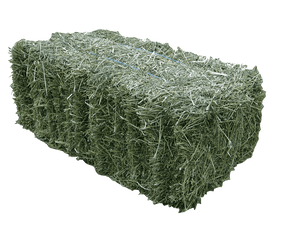 Hay Bales